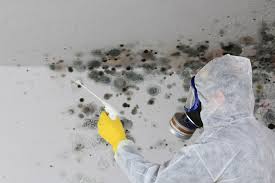 Best Emergency Mold Remediation  in Hebron, PA